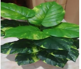 Artificial Plant, leaf, leafs, leaves, bushes, foilages, grass for home decor, garden, event.