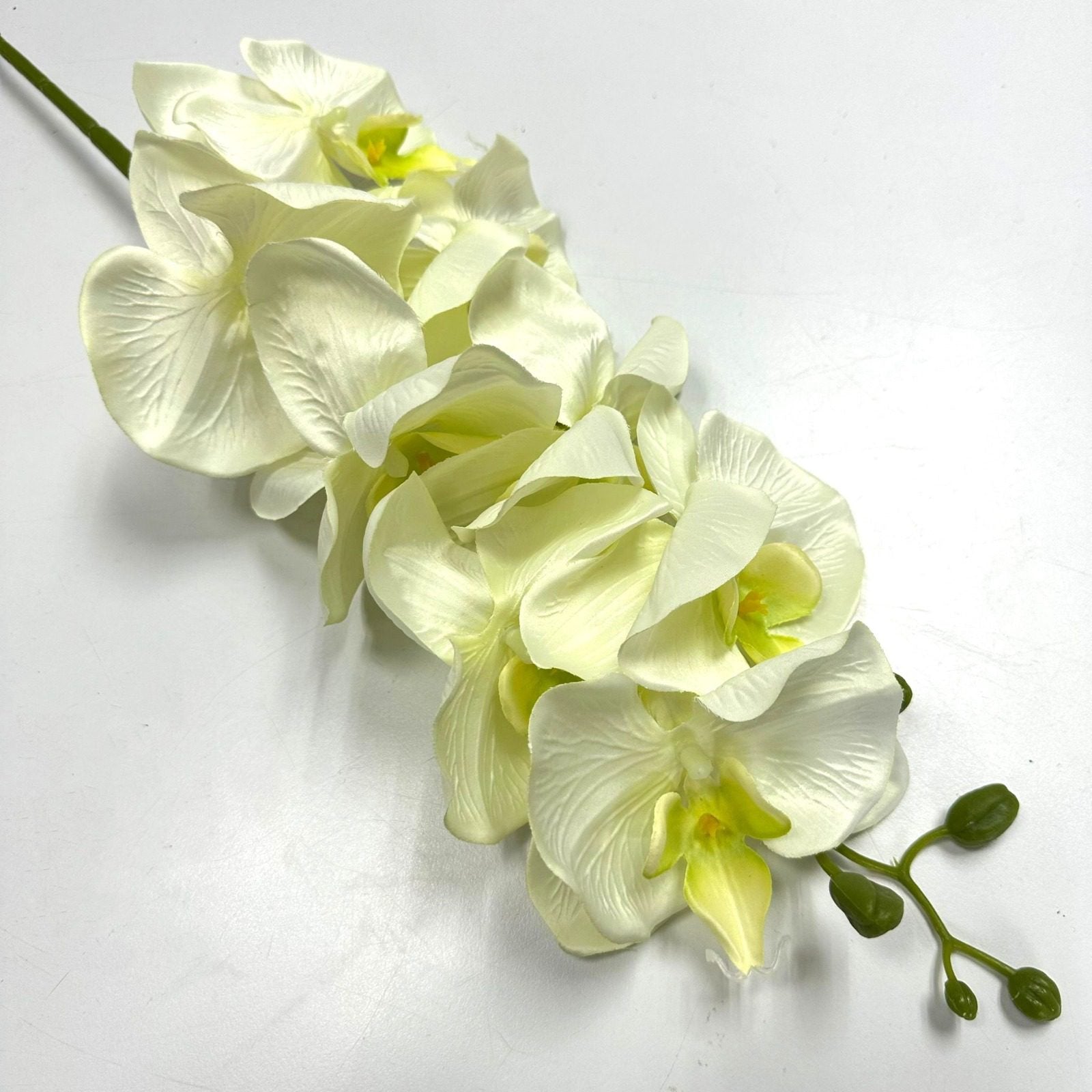 Flower Orchid Butterfly x 8 flower heads Artificial Afaux557