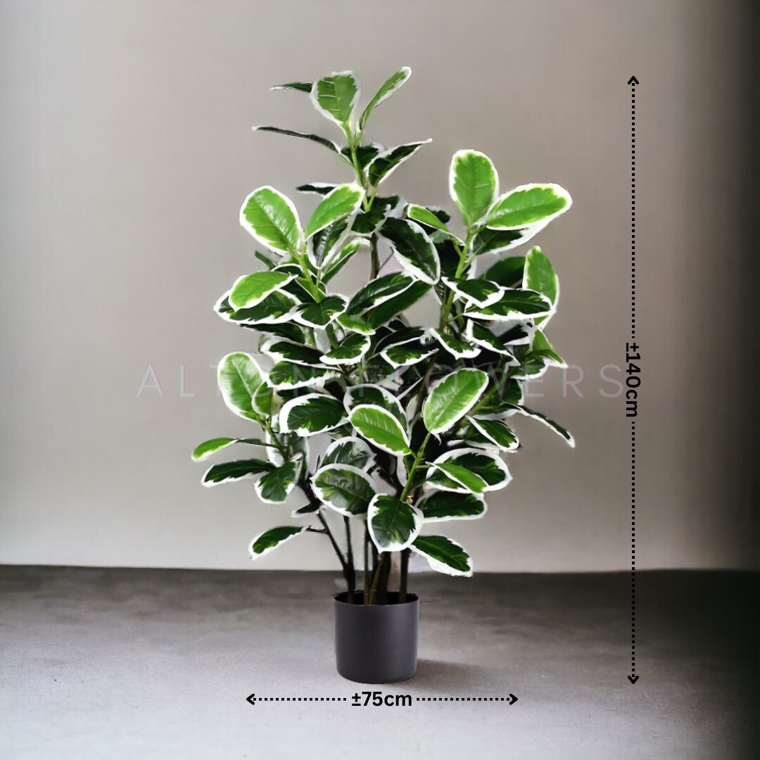140cm Artificial Plant Variegated Fiddle Fig Plant, faux plant, fake plant, home decor, events, garden Aplant843