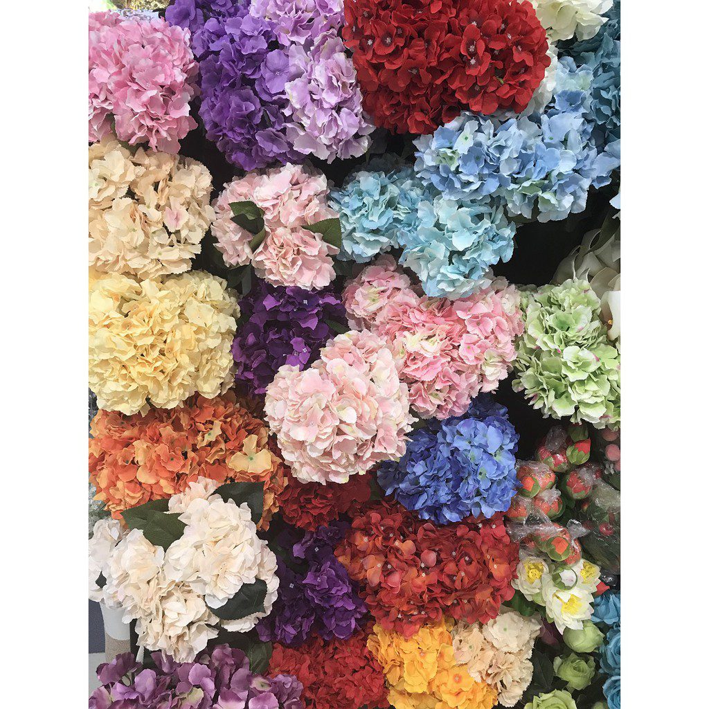 b6a5e24b3d0c58f8138bf988e74c8383