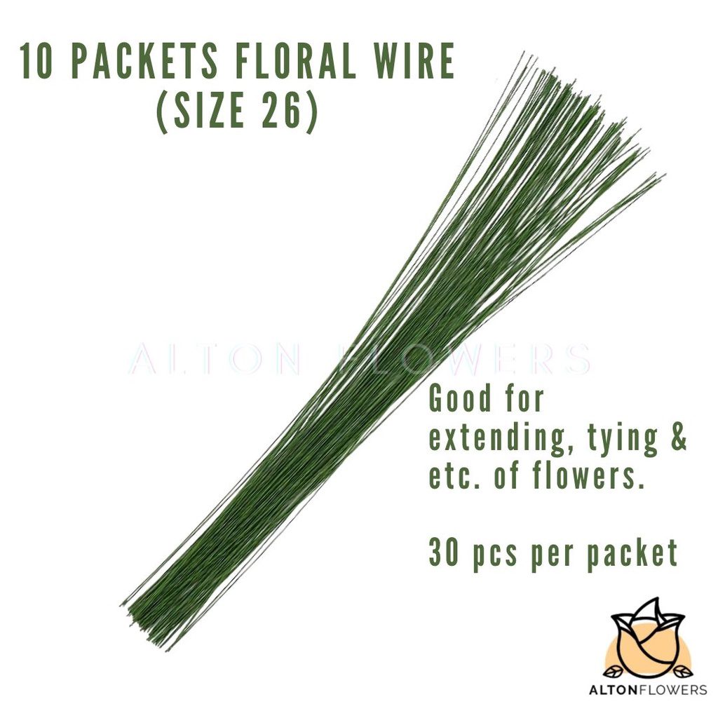 c9a50d3a1e2c124e528277700ff2f90d