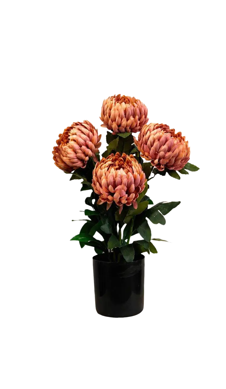 60cm Peach Bloom Arrangement Artificial in Black Pot