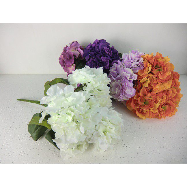 de384ed16f8177f57ea4646cbcaedd78