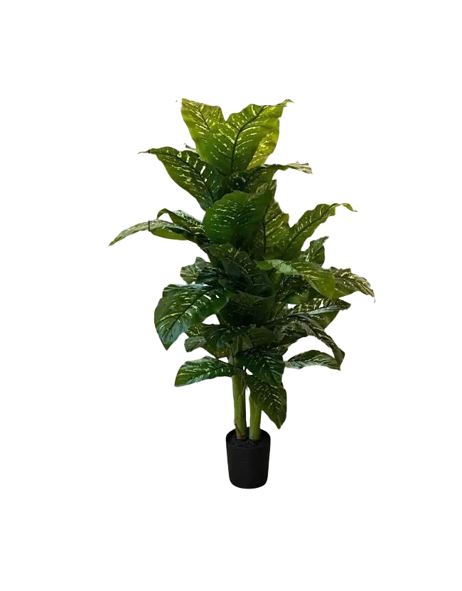 Artificial Diffenbachia plant, 160cm tall, from Alton Flowers, ideal for home decor, office, garden, or event decoration.