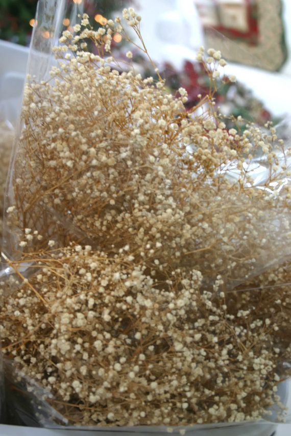 eff43f31d559677cd52a68b684177afa