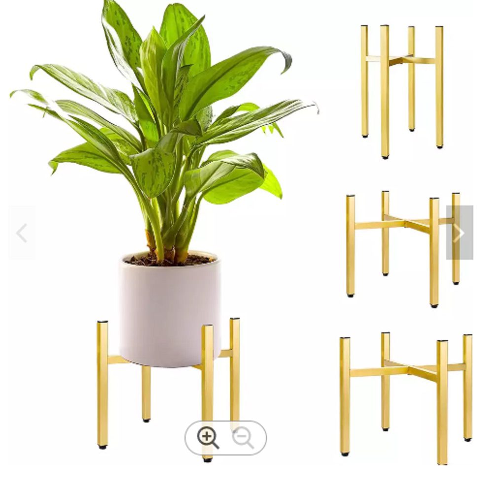 sg 11134201 22090 2cgrnqklz3hv7f