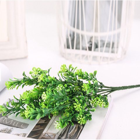 sg 11134201 22090 kws6g7zdy3hv72 1