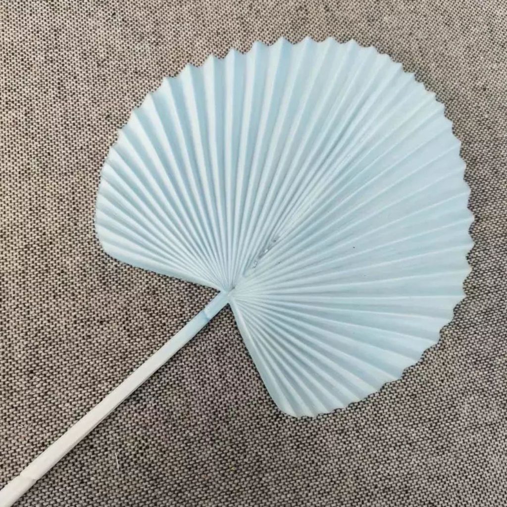 sg 11134201 22100 9yyqbr1u4fivda