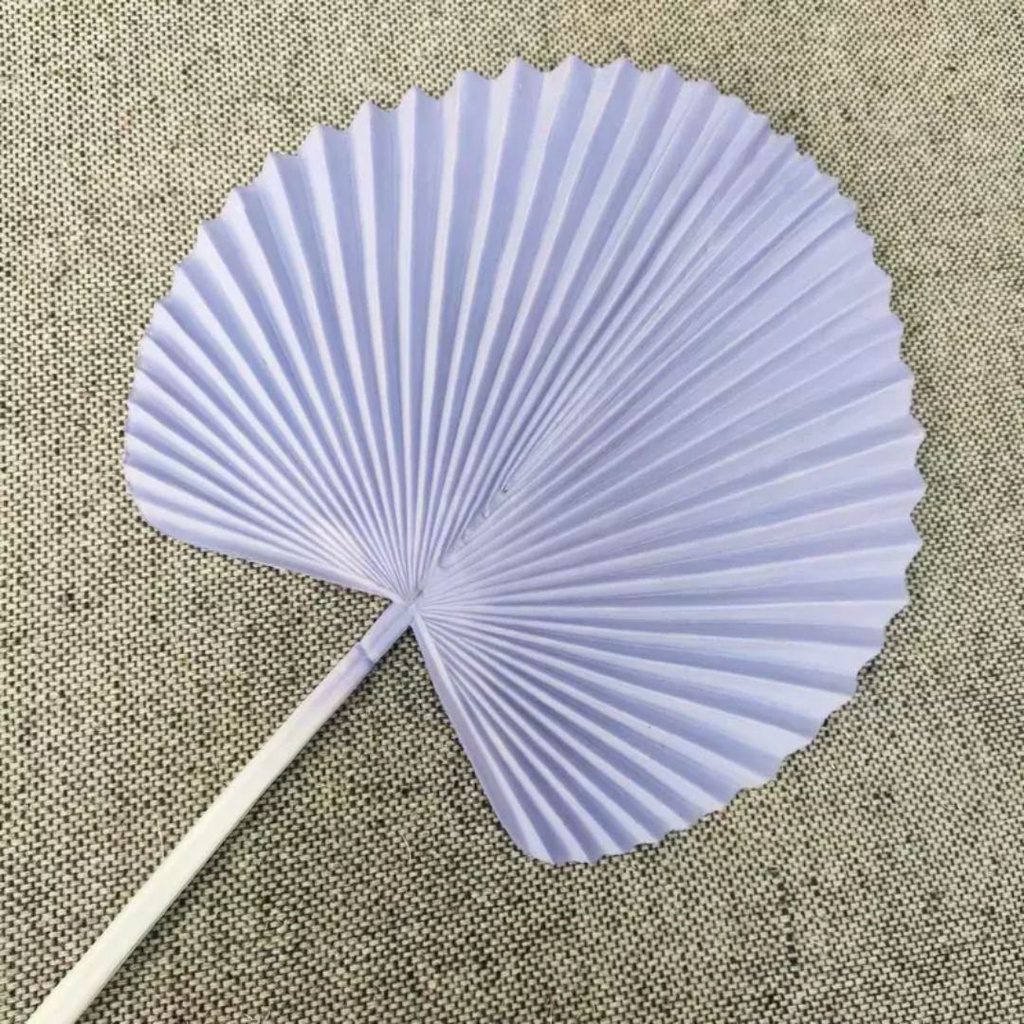 sg 11134201 22100 umydmt2u4fivcc