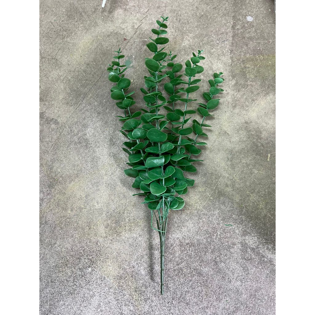 sg 11134201 22110 u07inepidljv27