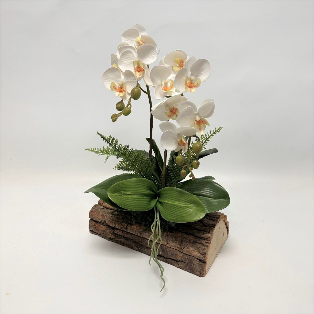 sg 11134207 23030 the8xxu3q6nv18