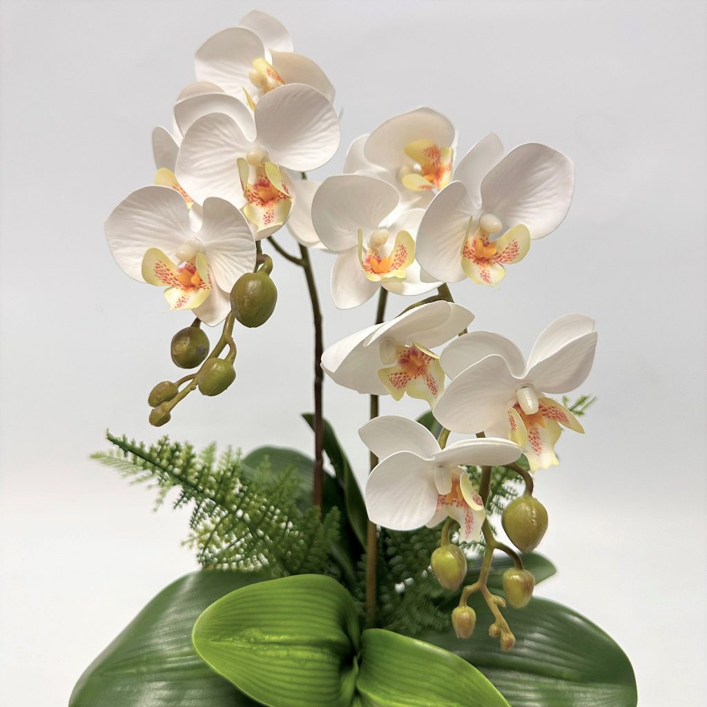 sg 11134207 23030 wj21km73q6nv7d