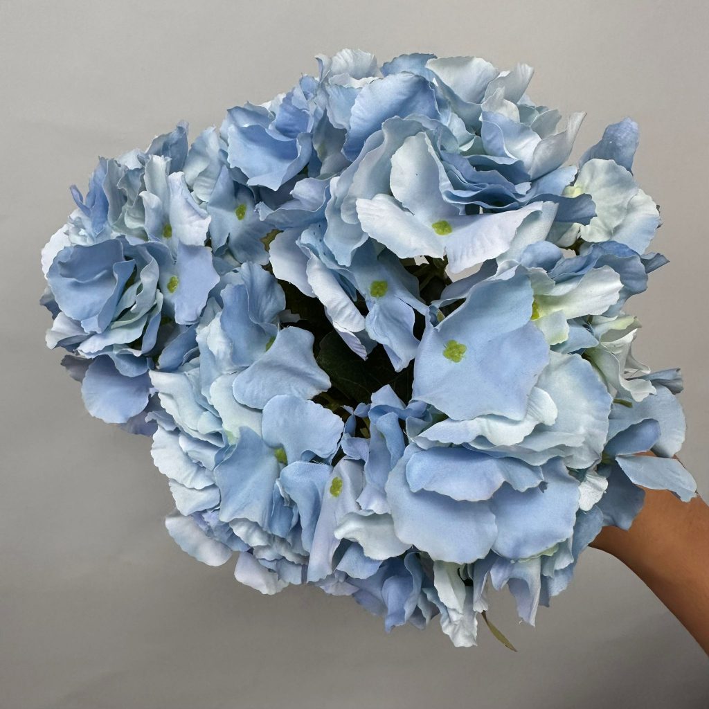 Hydrangea Bush x 5 flowers head per bush Afaux103