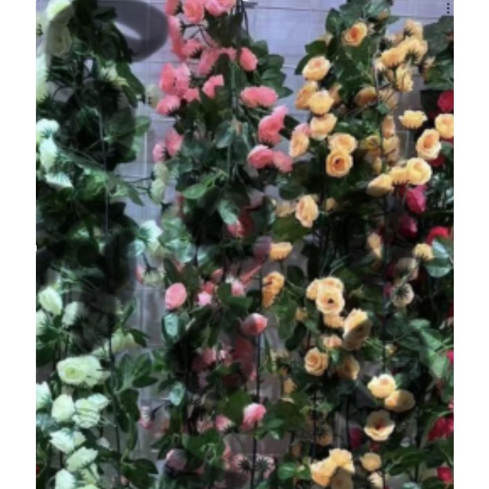 sg 11134207 7qveh ljkv9g515iwu1c