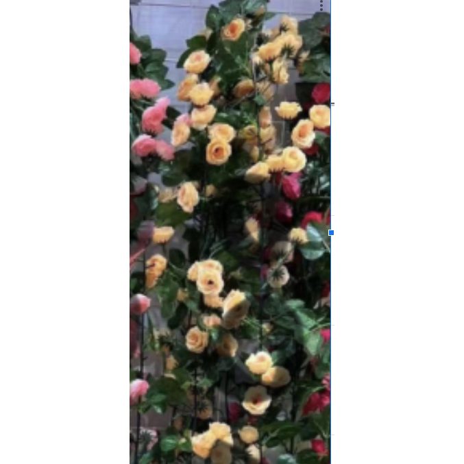 sg 11134207 7qvfh ljkv9g519qm6ad