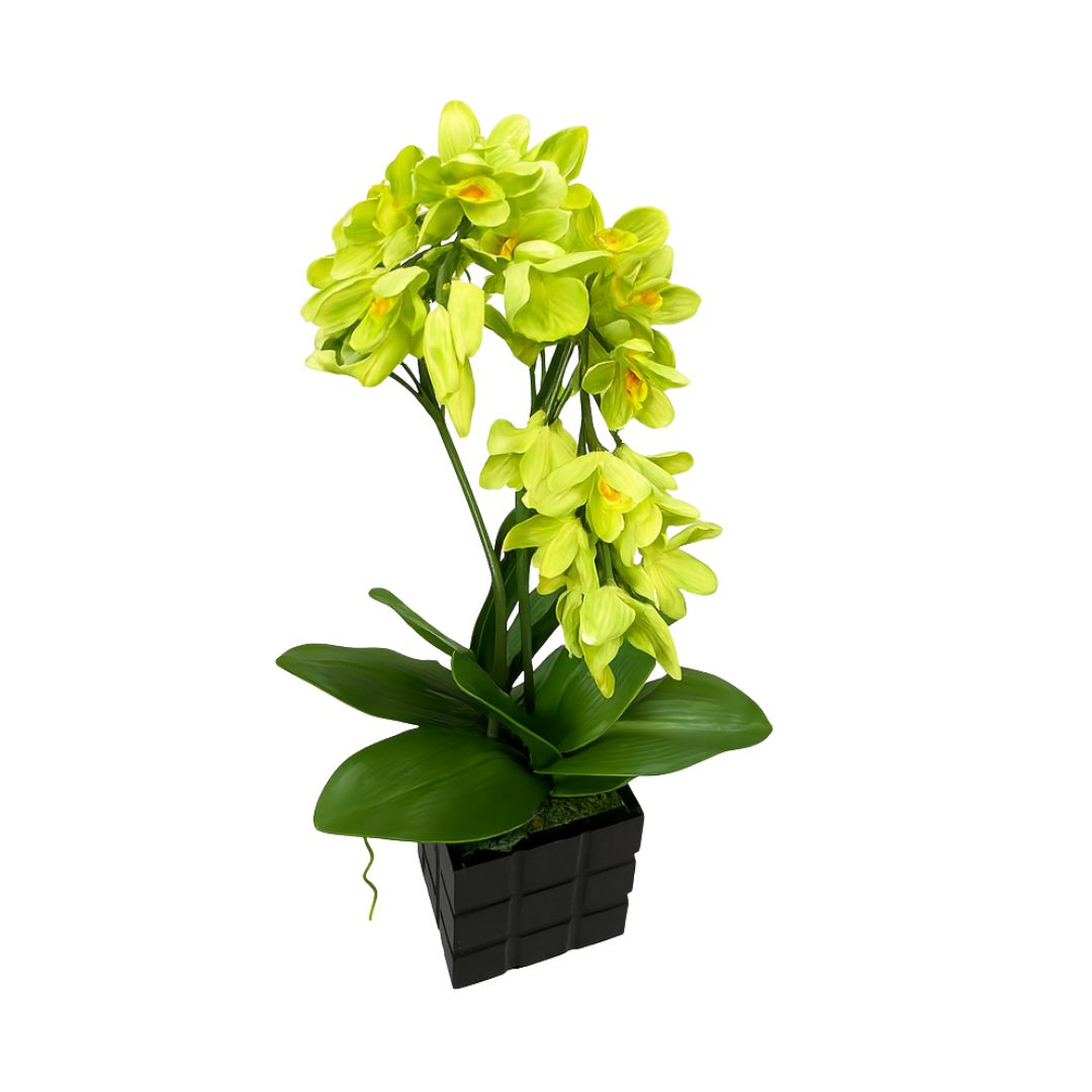 Singapore Homeowners Love These Artificial Plants for Modern Interiors