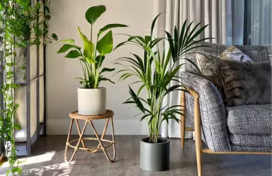Decorating Small Spaces with Compact Artificial Plants in Pots