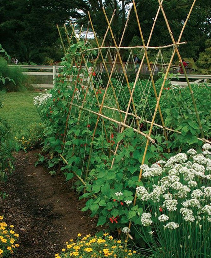 Garden Poles