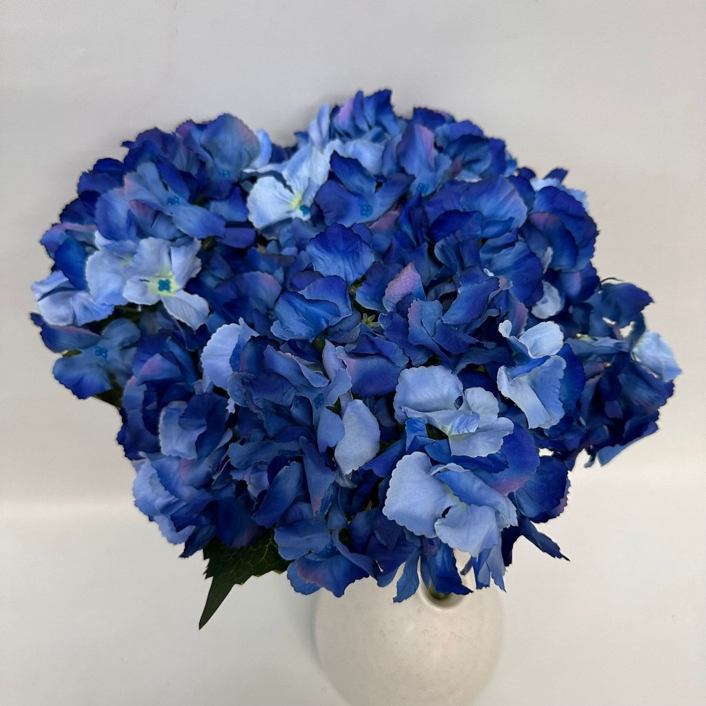 Hydrangea Bush x 5 flowers head per bush Afaux103