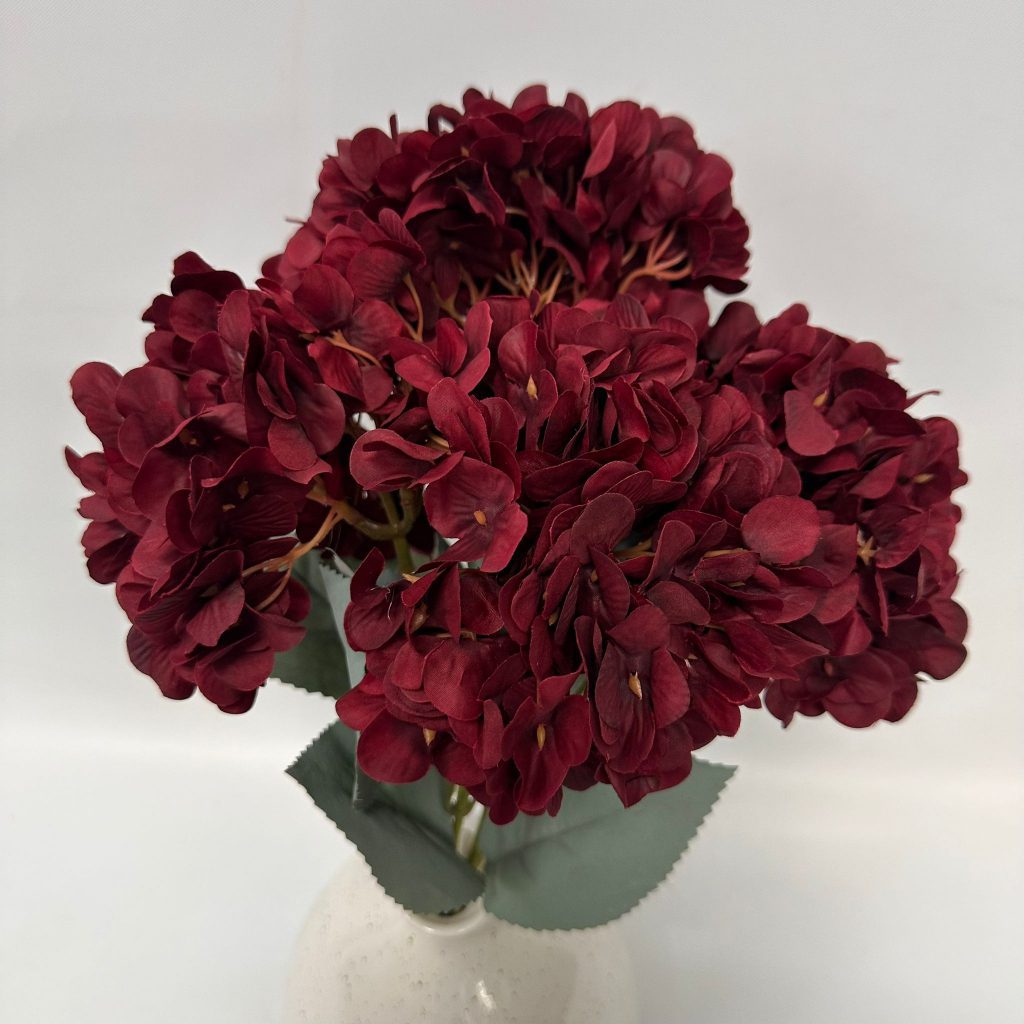 Hydrangea Bush x 5 flowers head per bush Afaux103