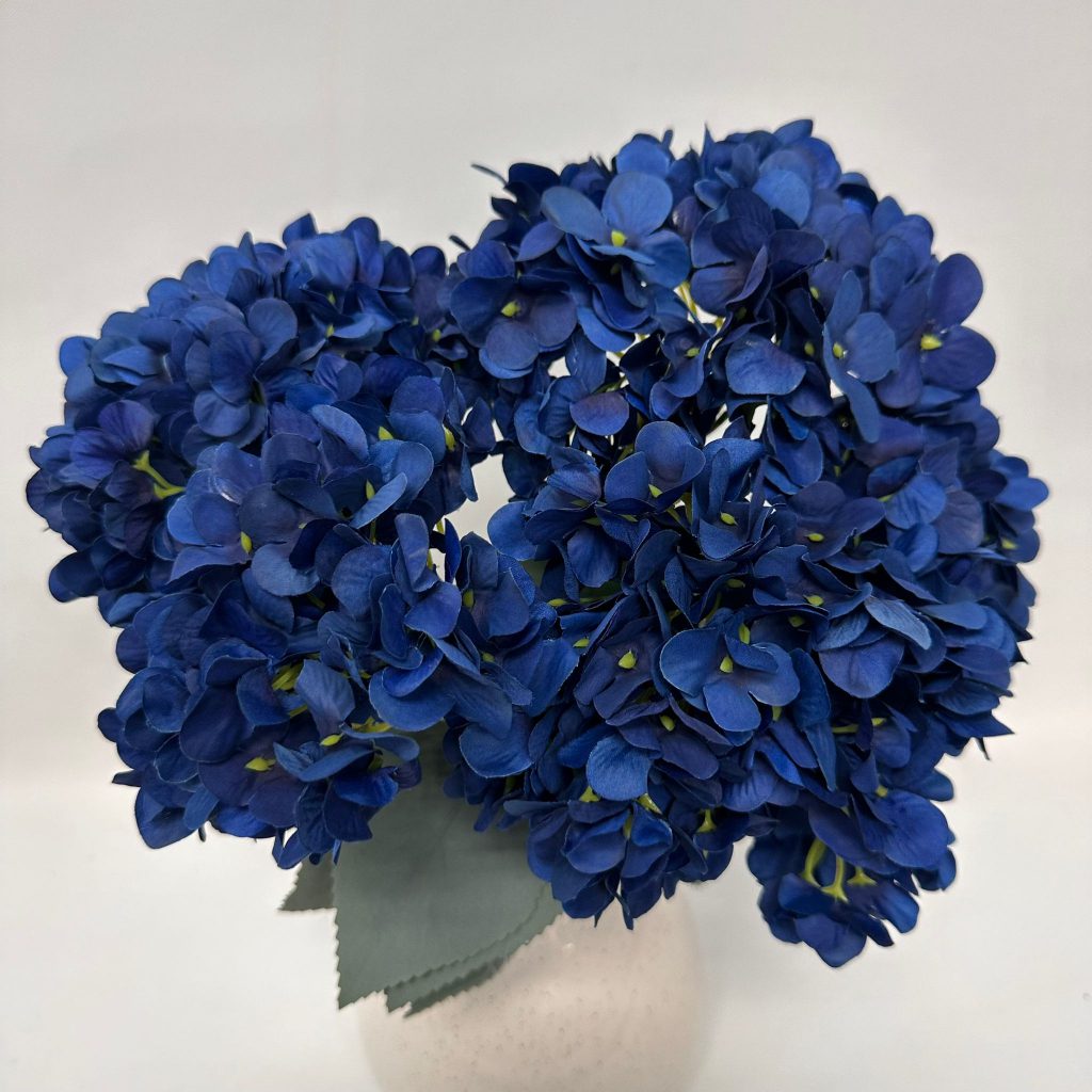 Hydrangea Bush x 5 flowers head per bush Afaux103