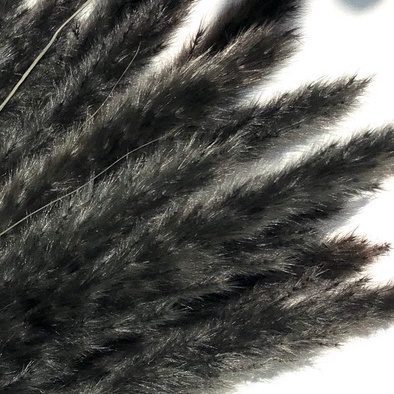 (Mini) Naturally Dried Pampas Grass 70cm Home Decoration Flower Arrangement Reed Bouquet Birthday Gift Aplnt648