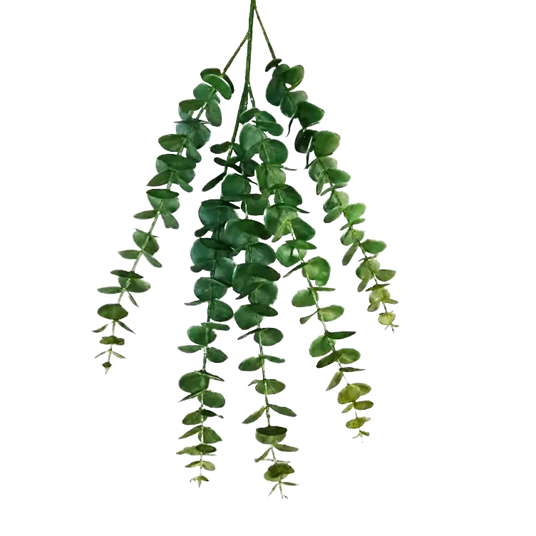 Flower Eucalyptus leaves stalk artificial, flower arrangement, events