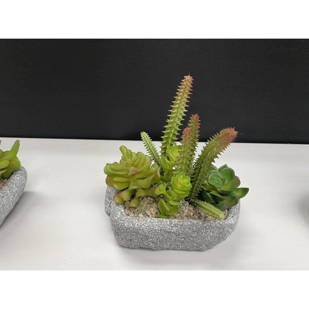 1bb0008907a3c013bf2899a68ab8de92