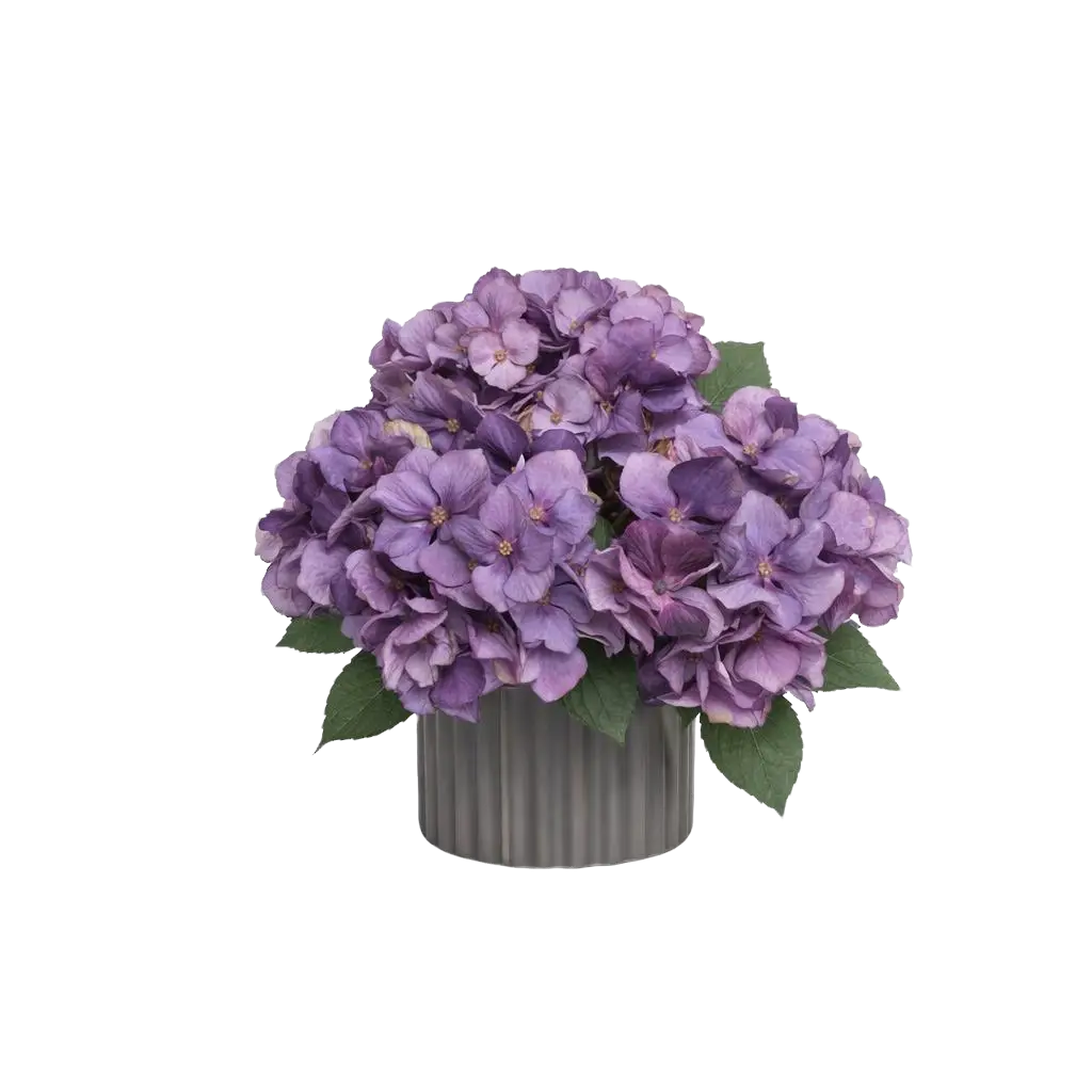 Artificial hydrangea flower arrangement, 25cm, from Alton Flowers, featuring realistic blue and white hydrangea blooms.