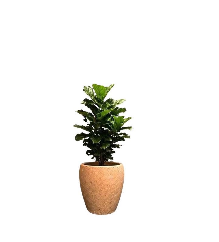 Modern 40cm ceramic vase by Alton Flowers with sleek design, perfect for home decor or floral arrangements.