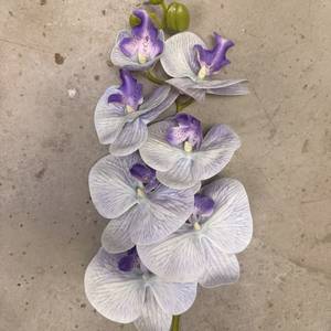 Artificial Flower Orchids Cybidium with 7 flower heads per stalk, realistic floral display by Alton Flowers.