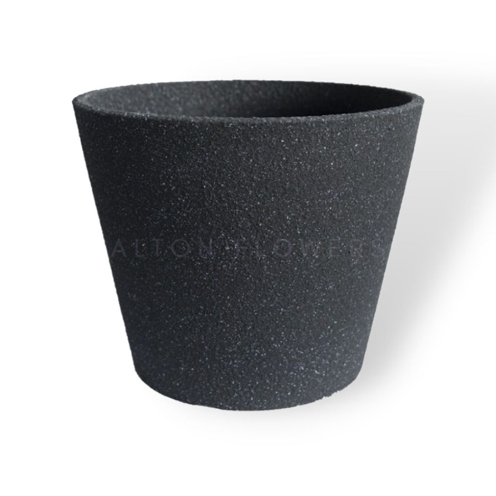 2f85fdba83bafb254bf03ec86580cc9a