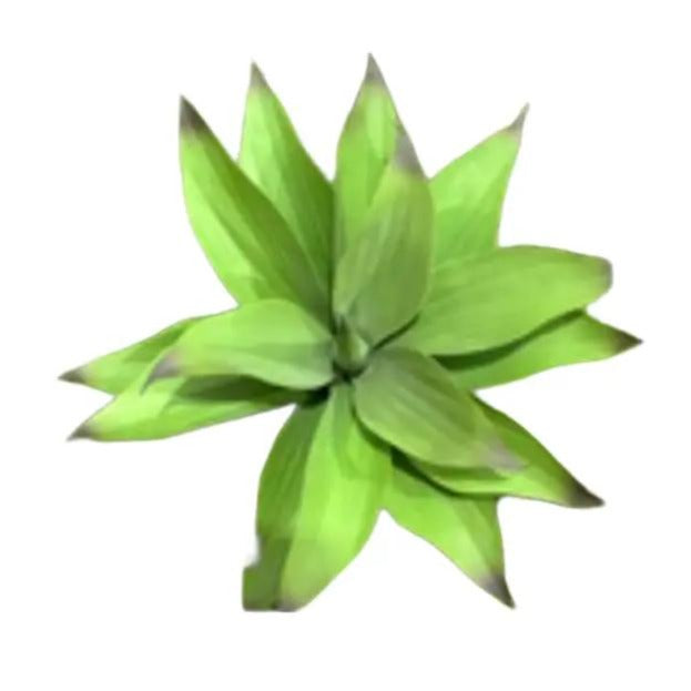 32cm Artificial Plant Agave, Succulent, shrubs, home decor
