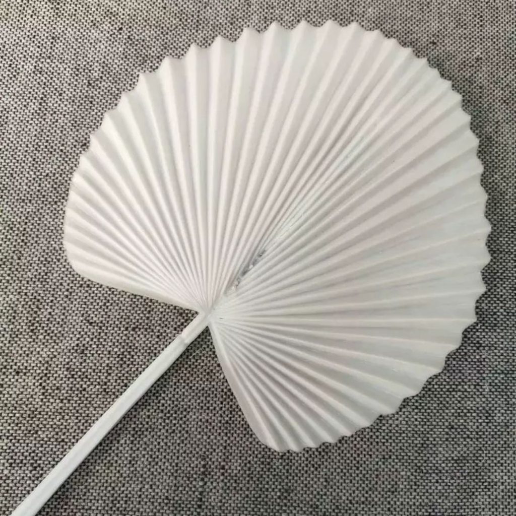 344abc08f8fc13851e3ee2ba7b11909d