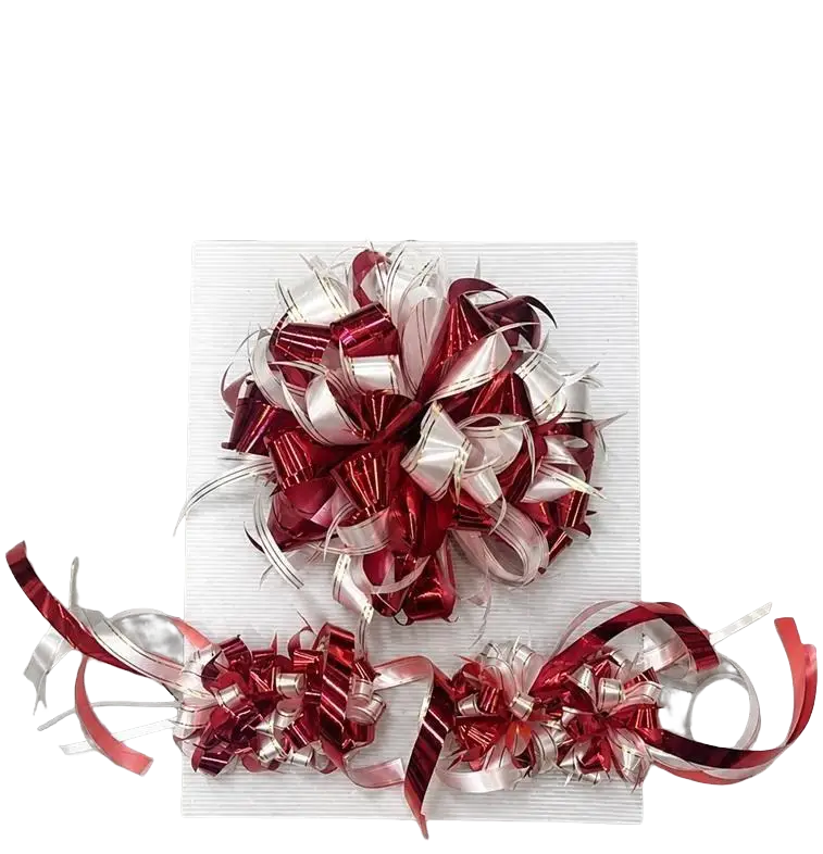 Wedding Car Decoration Set – Front Bonnet Ribbon & Door Handles