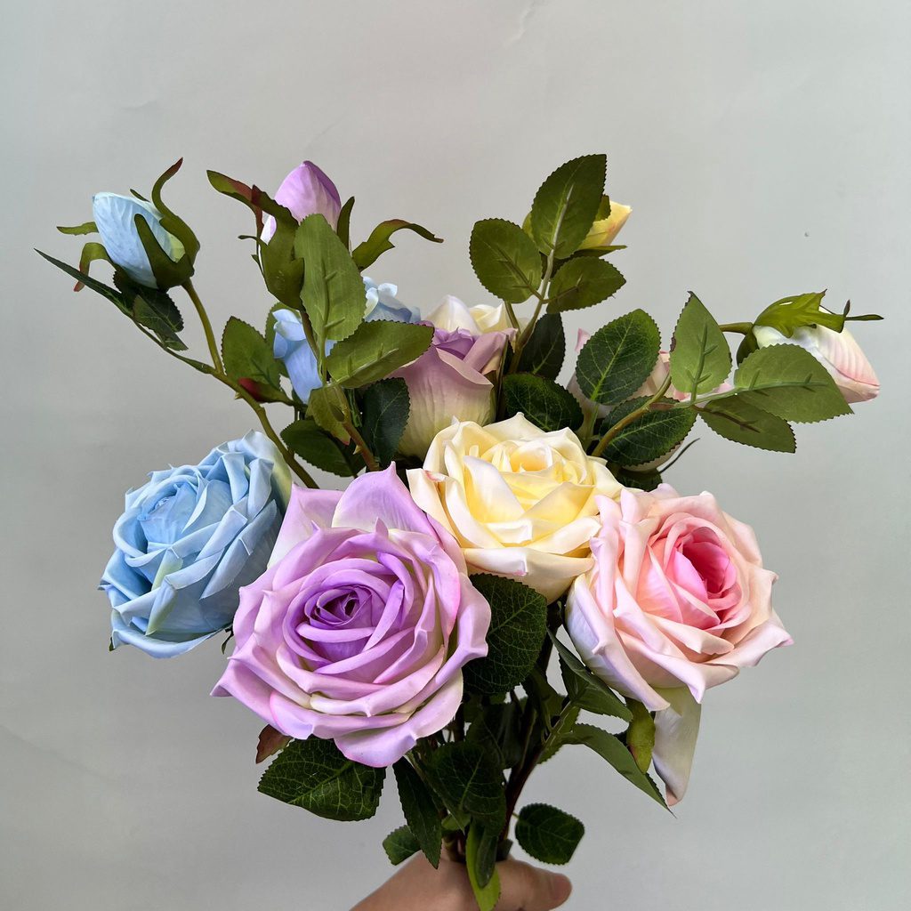 66654c6056222c7f22f0063e17f9446c