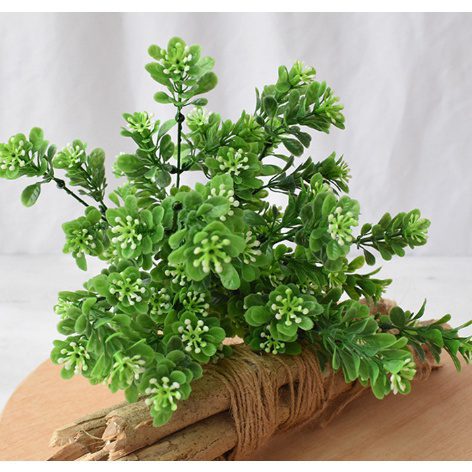 75f289b97755ec779dd4870bab86ba05