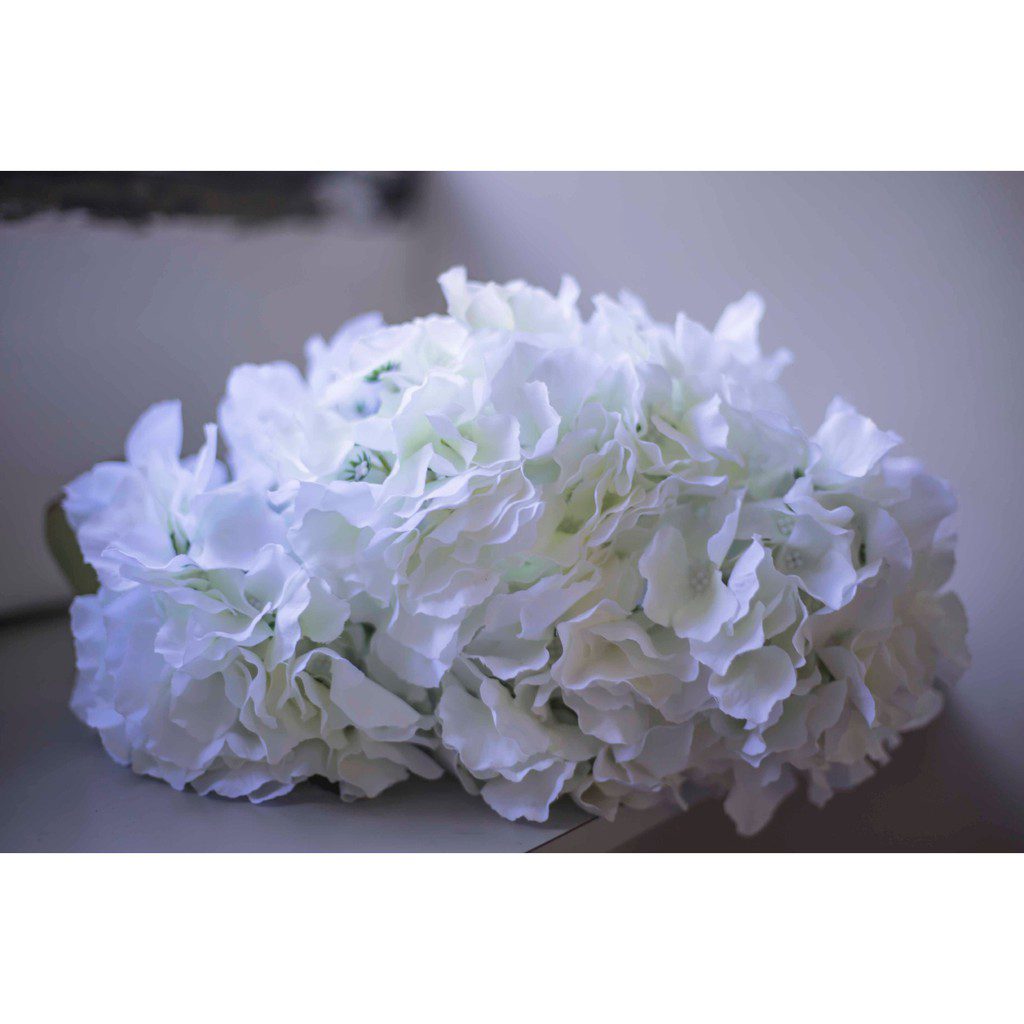 77a2f67ec93c82e10f3dcd43fae528ae