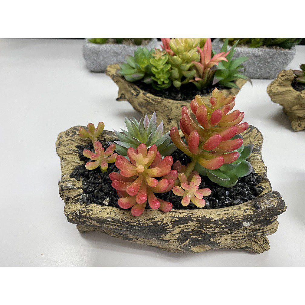 85e9663236dbad5ef4791d6b190577fc