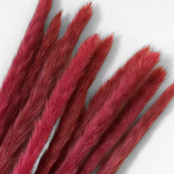 (Mini) Naturally Dried Pampas Grass 70cm Home Decoration Flower Arrangement Reed Bouquet Birthday Gift Aplnt648