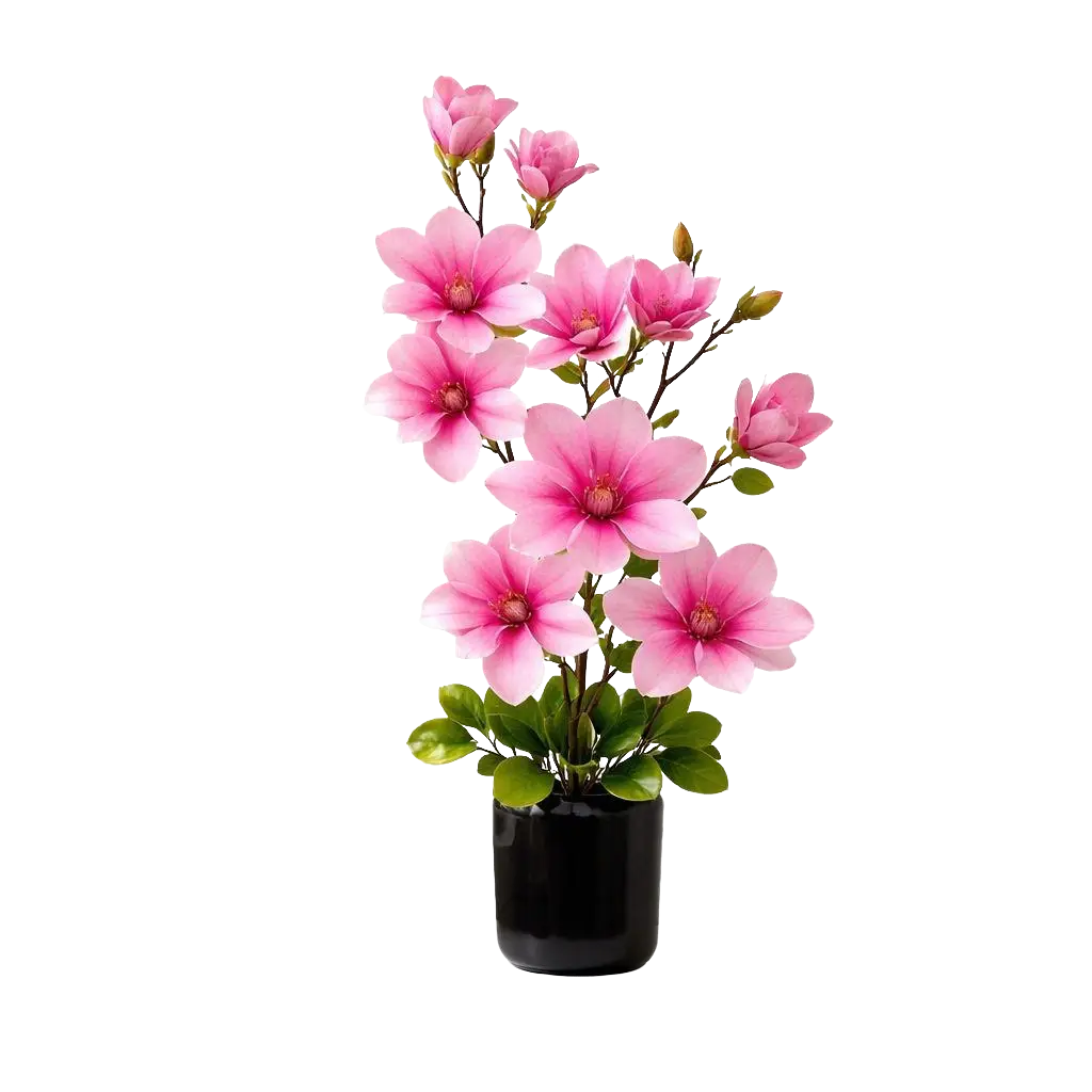 70cm Flower Magnolia Artificial Plant set in Black Pot Aplant1294