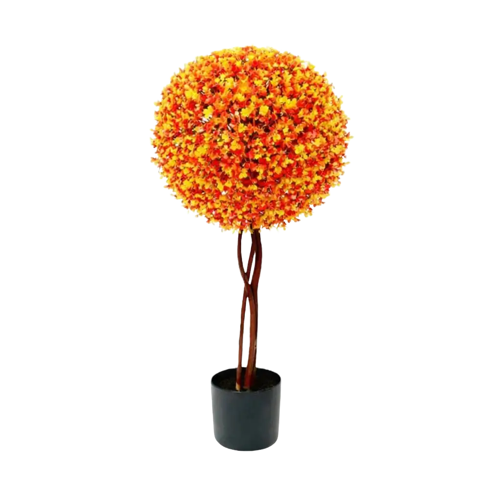 80cm Single Boxwood Topiary Ball Plant Aplant649-5