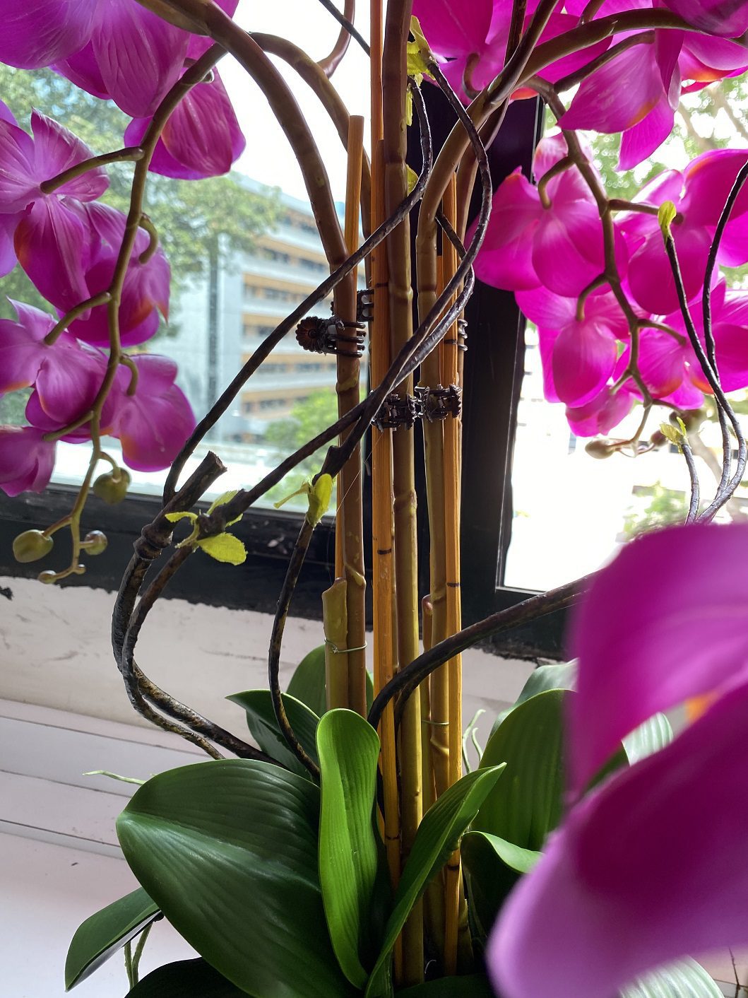 Plant Orchids Rubber x5 pieces arrangement artificial AAA438