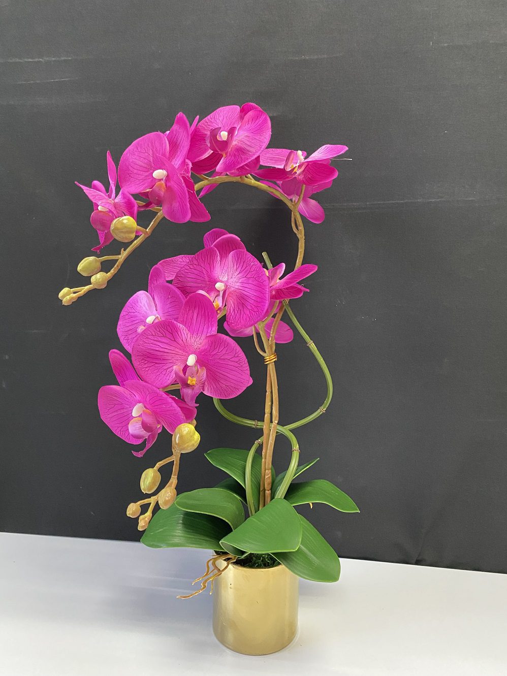 Alton Phalaenopsis Flower Orchids x 2 stalks Artificial Set in Ceramic Pot, plant, decor, plants, flowers AAA449