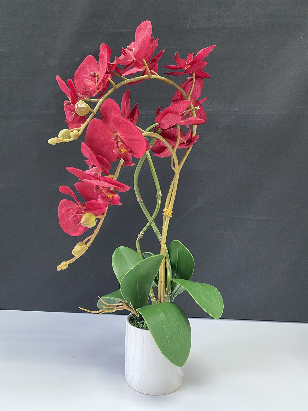 Alton Phalaenopsis Flower Orchids x 2 stalks Artificial Set in Ceramic Pot, plant, decor, plants, flowers AAA449