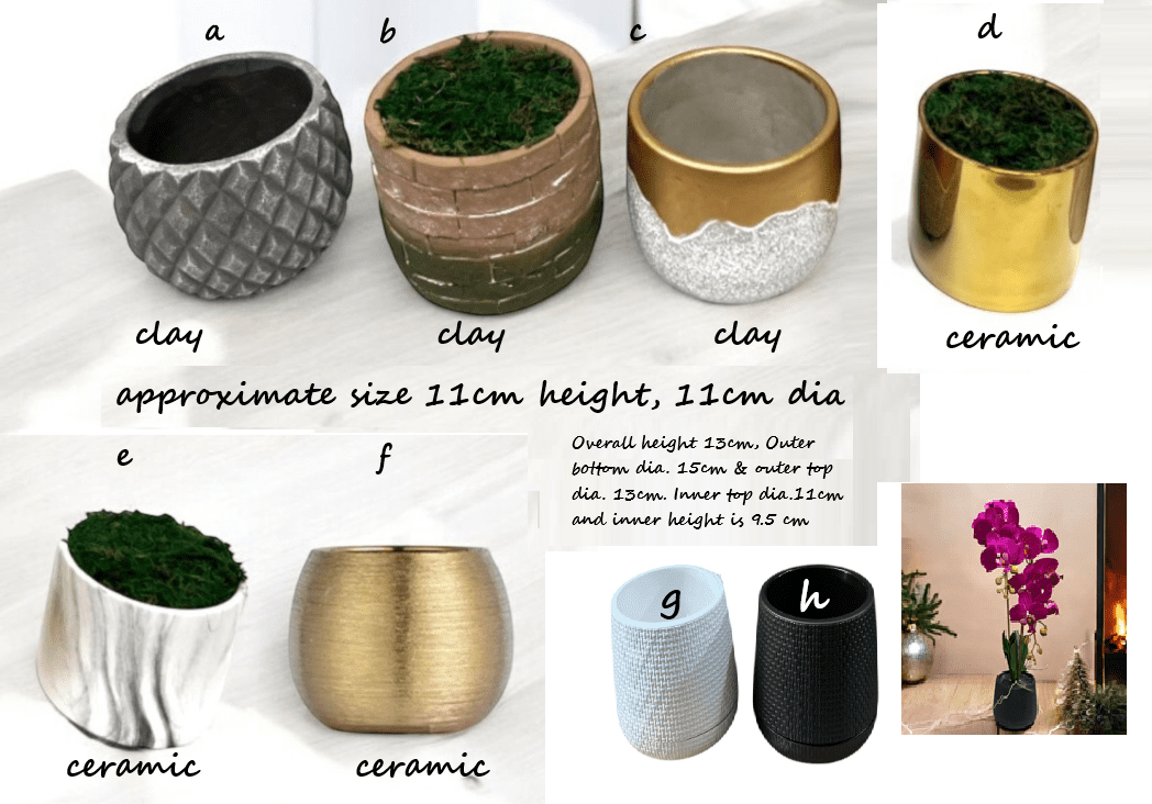 Alton Phalaenopsis Flower Orchids x 2 stalks Artificial Set in Ceramic Pot, plant, decor, plants, flowers AAA449