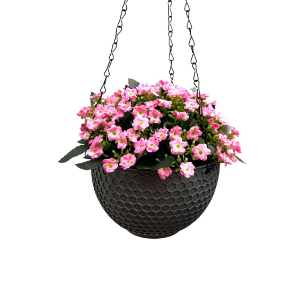 Flowers Alyssum arranged in a plastic hanging pot artificial, home, décor, flower AAA463