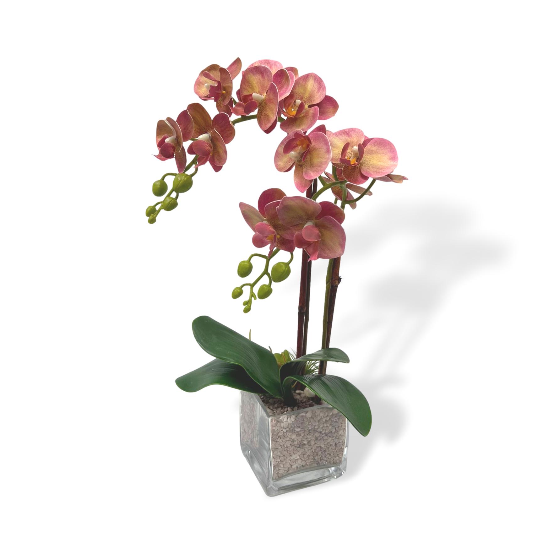 AAA475 clipped rev 1 1