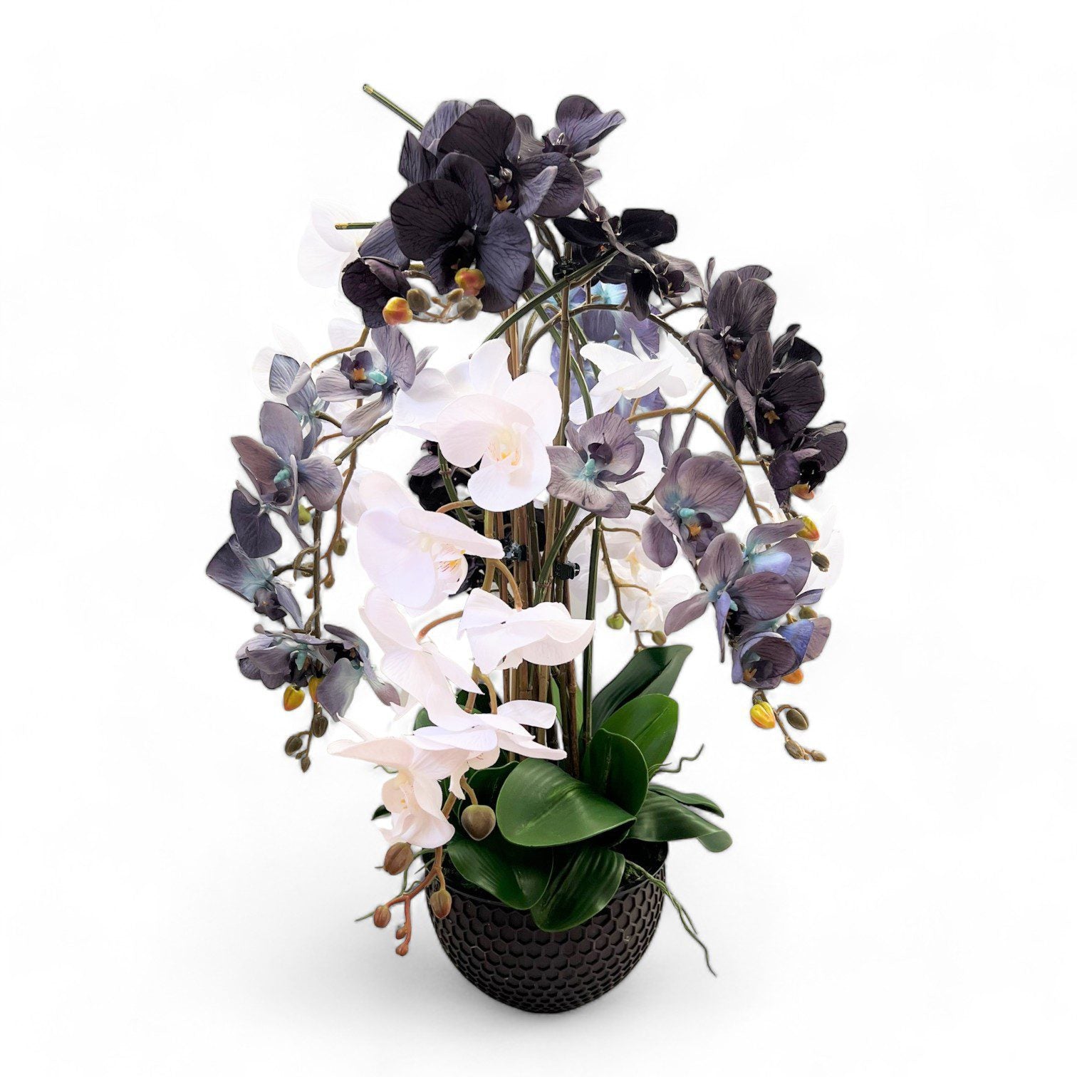 Flower arrangement Orchids, home decor, events, garden AAA559