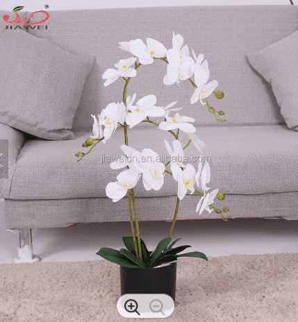 [SG Seller] Orchids Arrangement in a plastic pot with 3 stalks, home decor, garden, events AAA575
